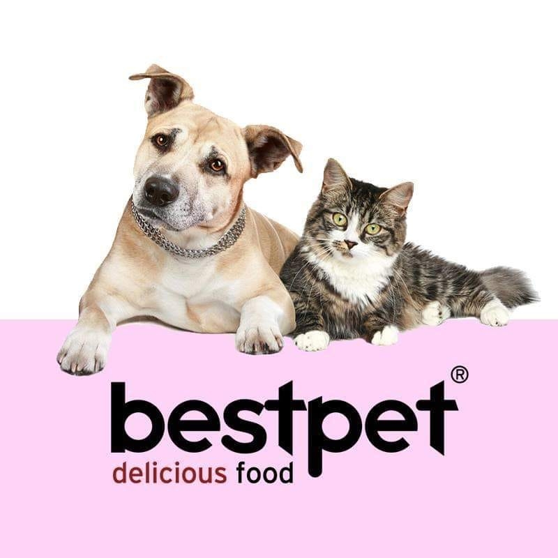 /storage/photos/36/BESTPET/306947548_438757631684530_6873110259537140953_n.jpg